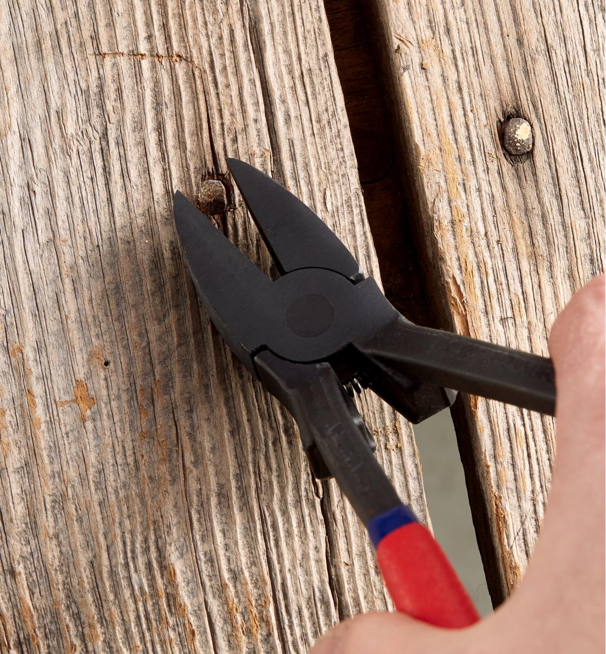 Removing a nail from a wall with the Nail Hunter