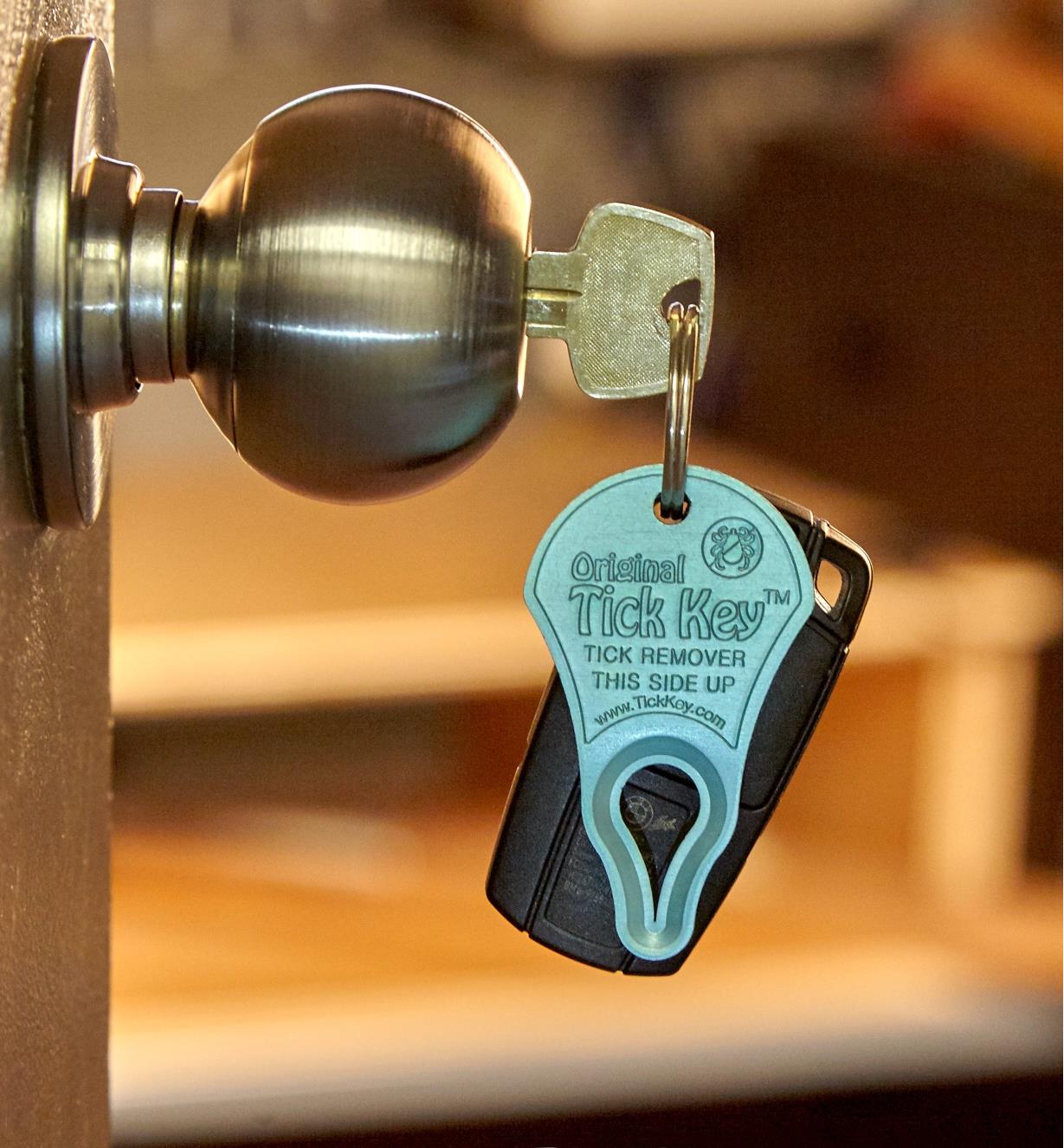 A key inserted in a door lock, with a Tick Key attached to the keychain