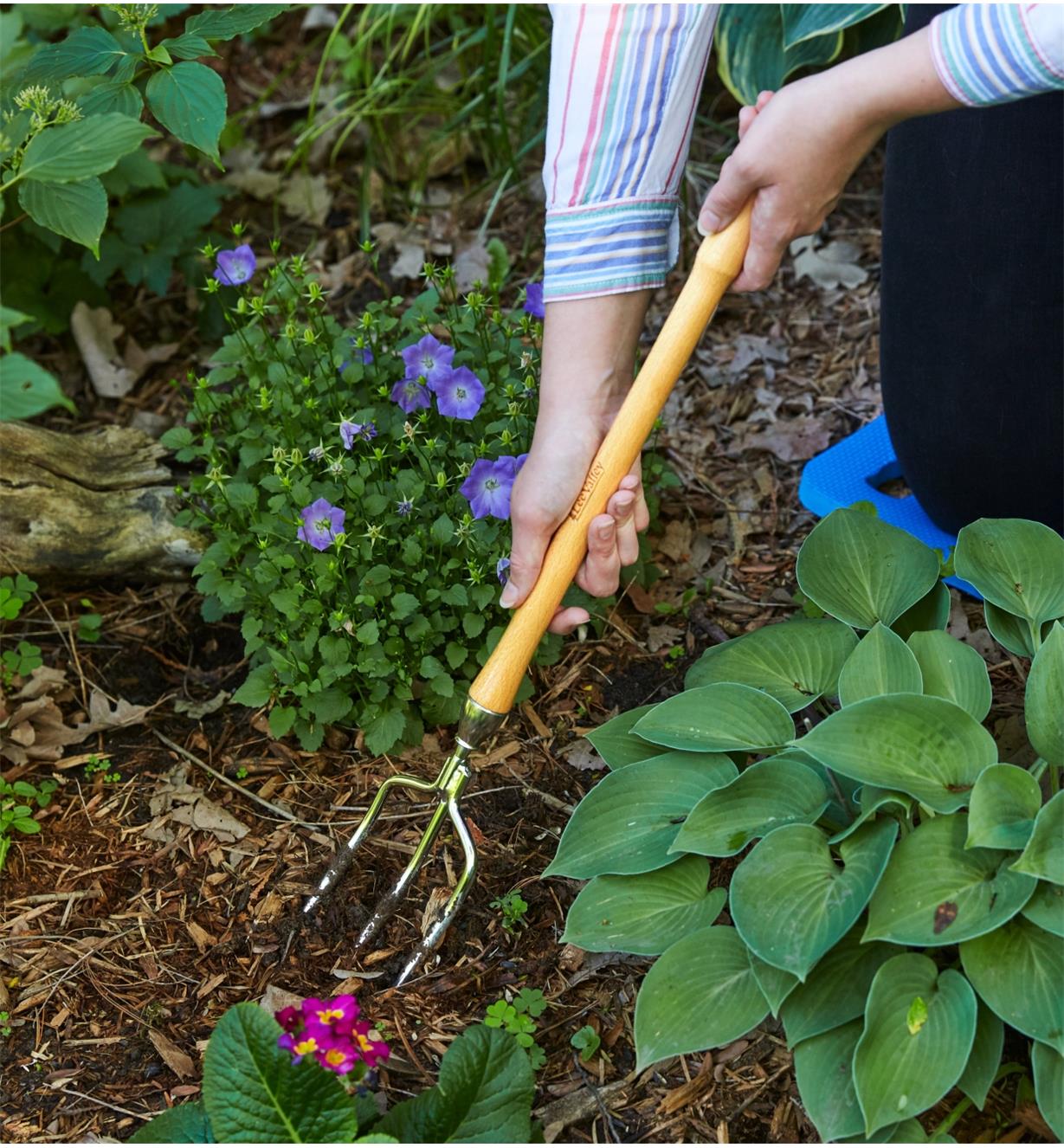 Using the Perennial Fork in garden mulch