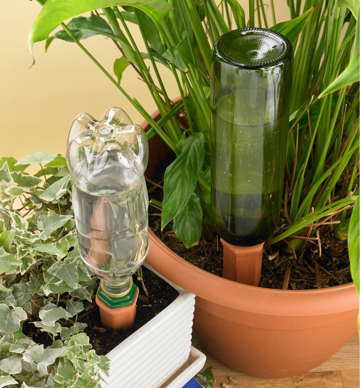 Watering Spikes with a wine bottle and a plastic water bottle being used in two plants