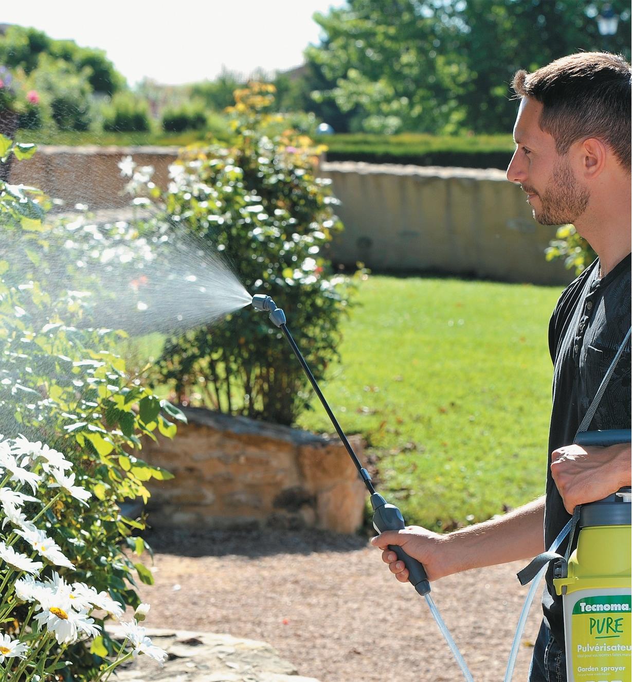 Spraying garden plants with the 5 Litre Pressure Sprayer