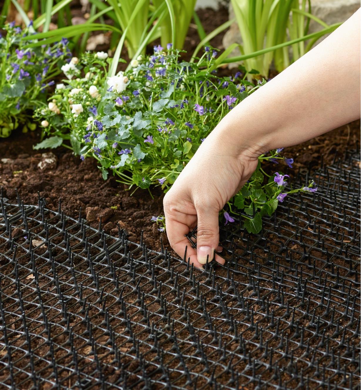 Adjusting a CatScat Mat laid out in a garden