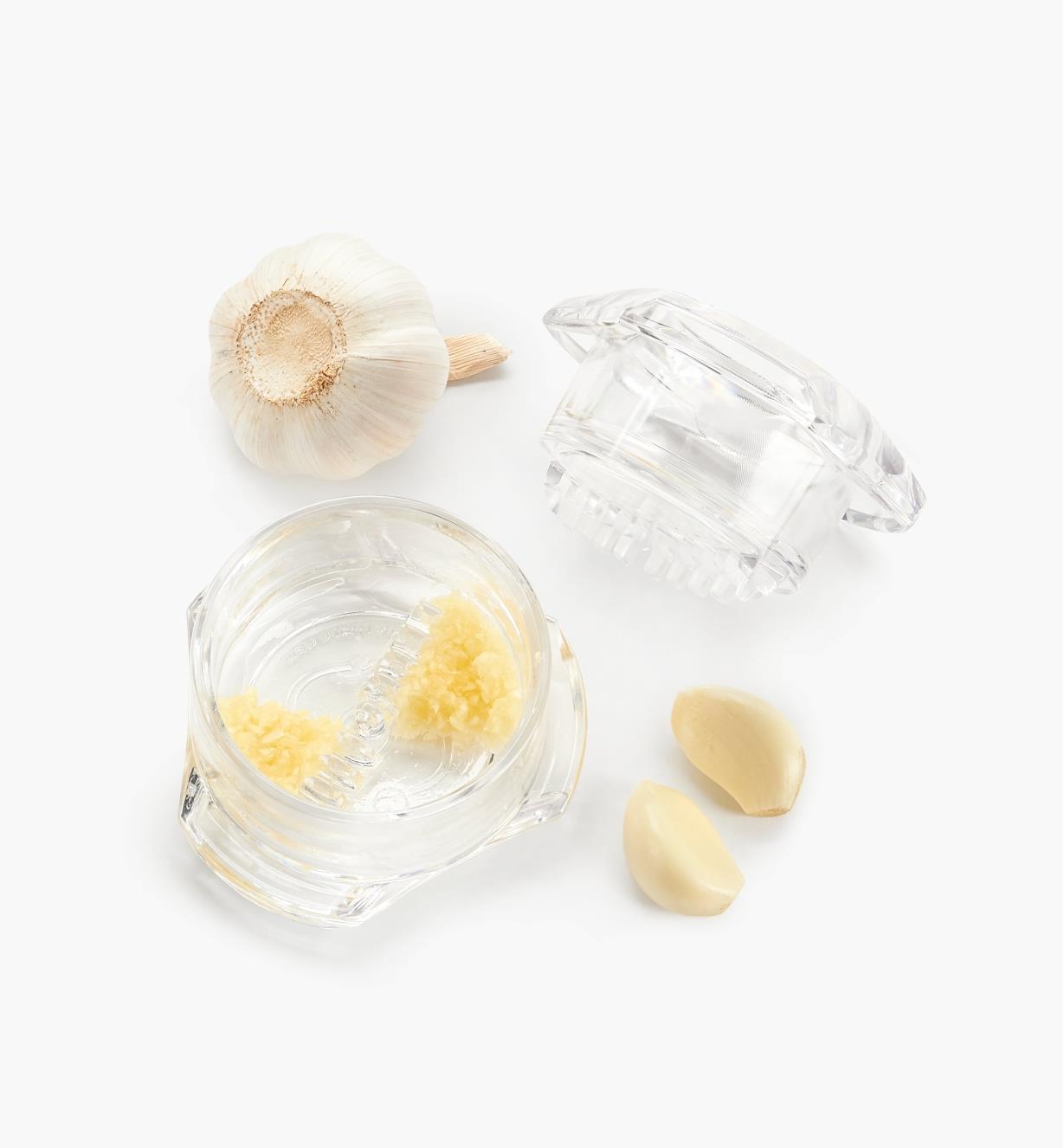 Garlic Mincer with minced garlic inside, with garlic cloves and a whole garlic lying next to it