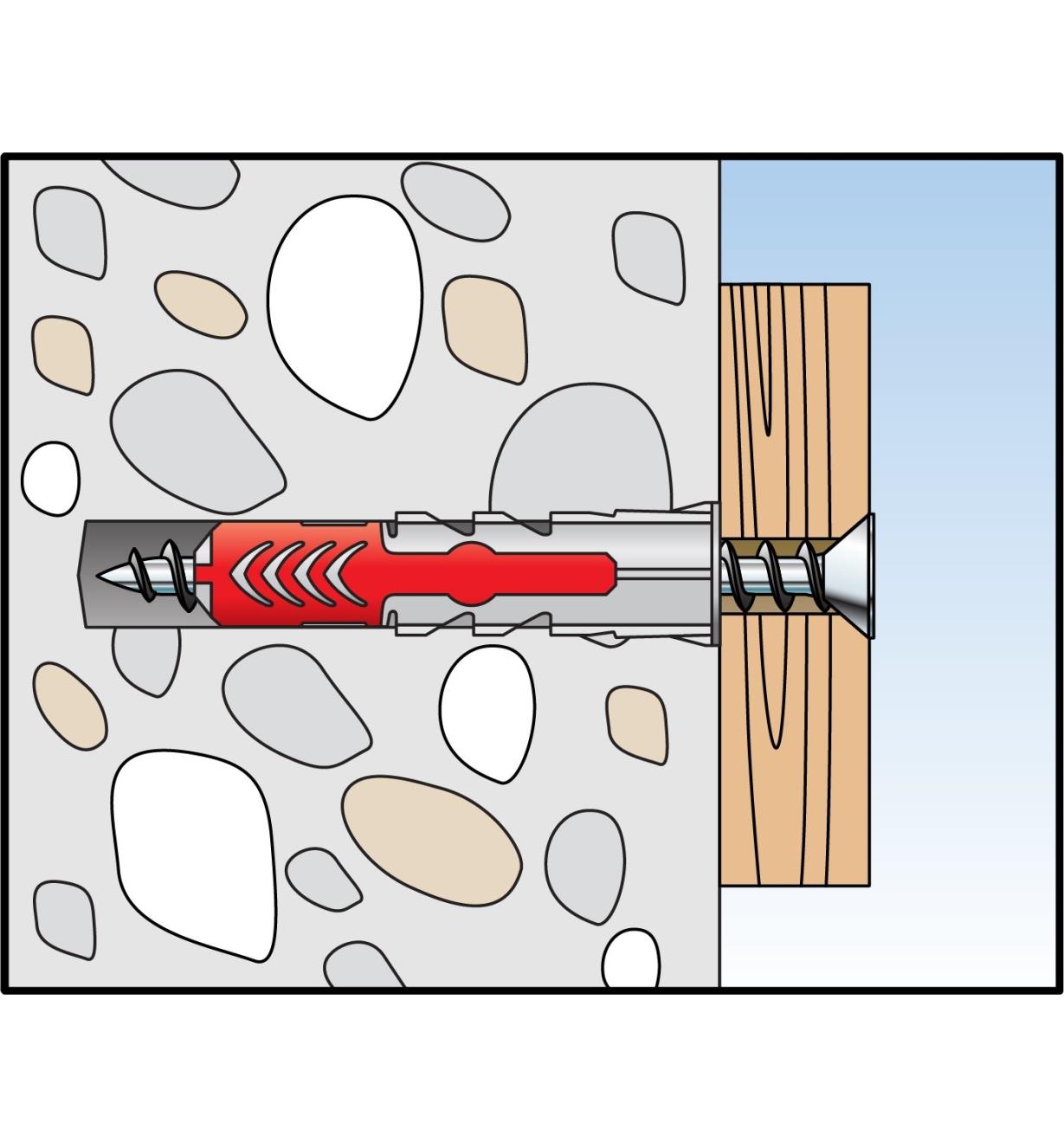 Cutaway illustration of anchor and screw installed in a concrete wall