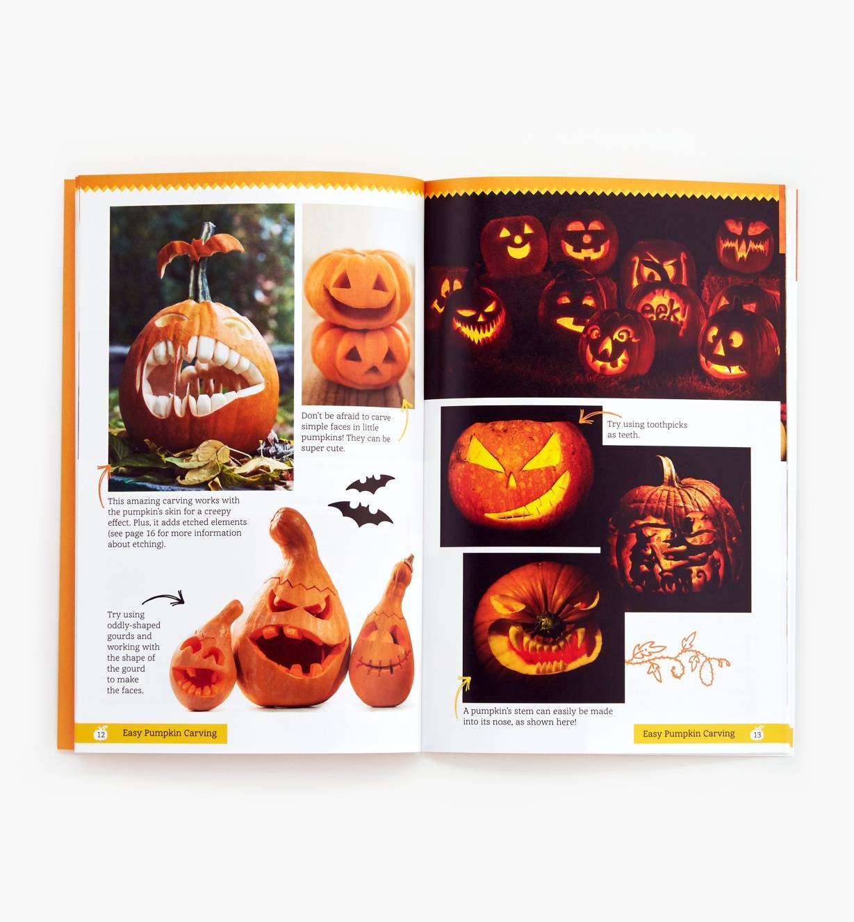 49L5120 - Easy Pumpkin Carving