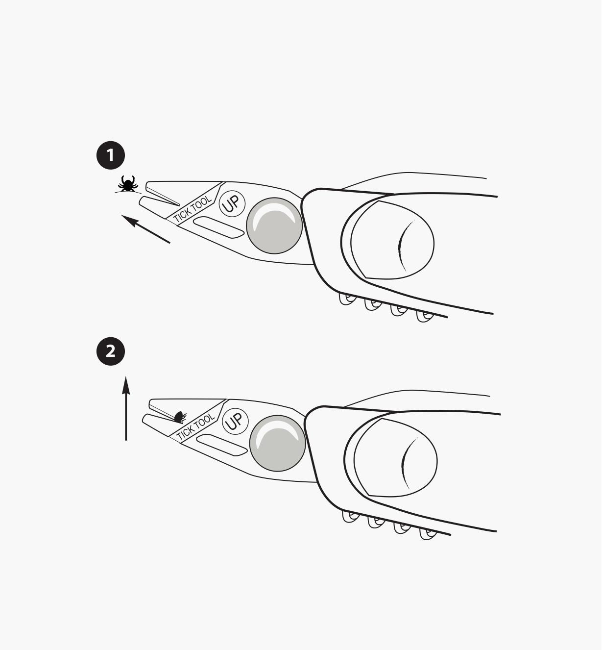 Diagram shows the steps of capturing the tick in the tick remover and pulling upward to remove it from the skin