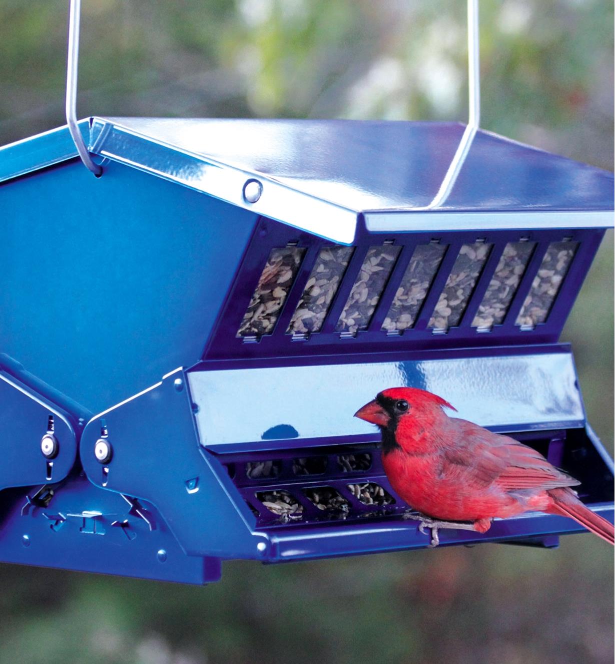 Double-Sided Large Squirrel-Resistant Feeder