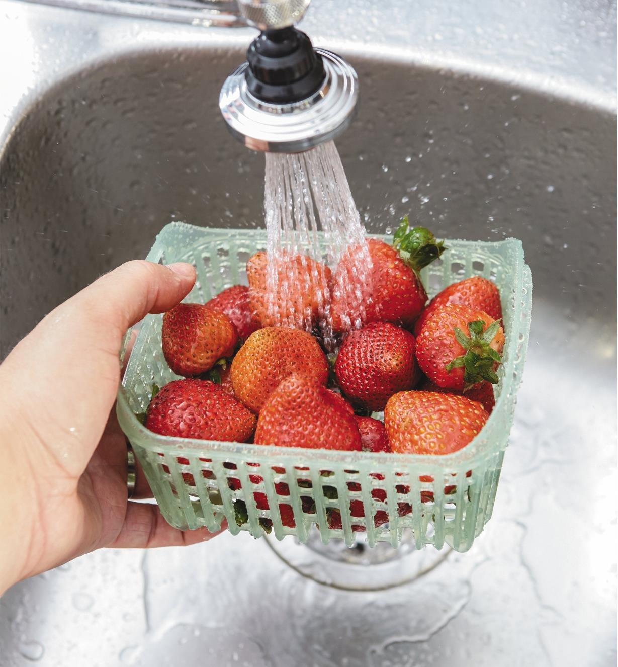 Rinsing strawberries in the 1.6 qt. (1.5 litre) Produce Keeper