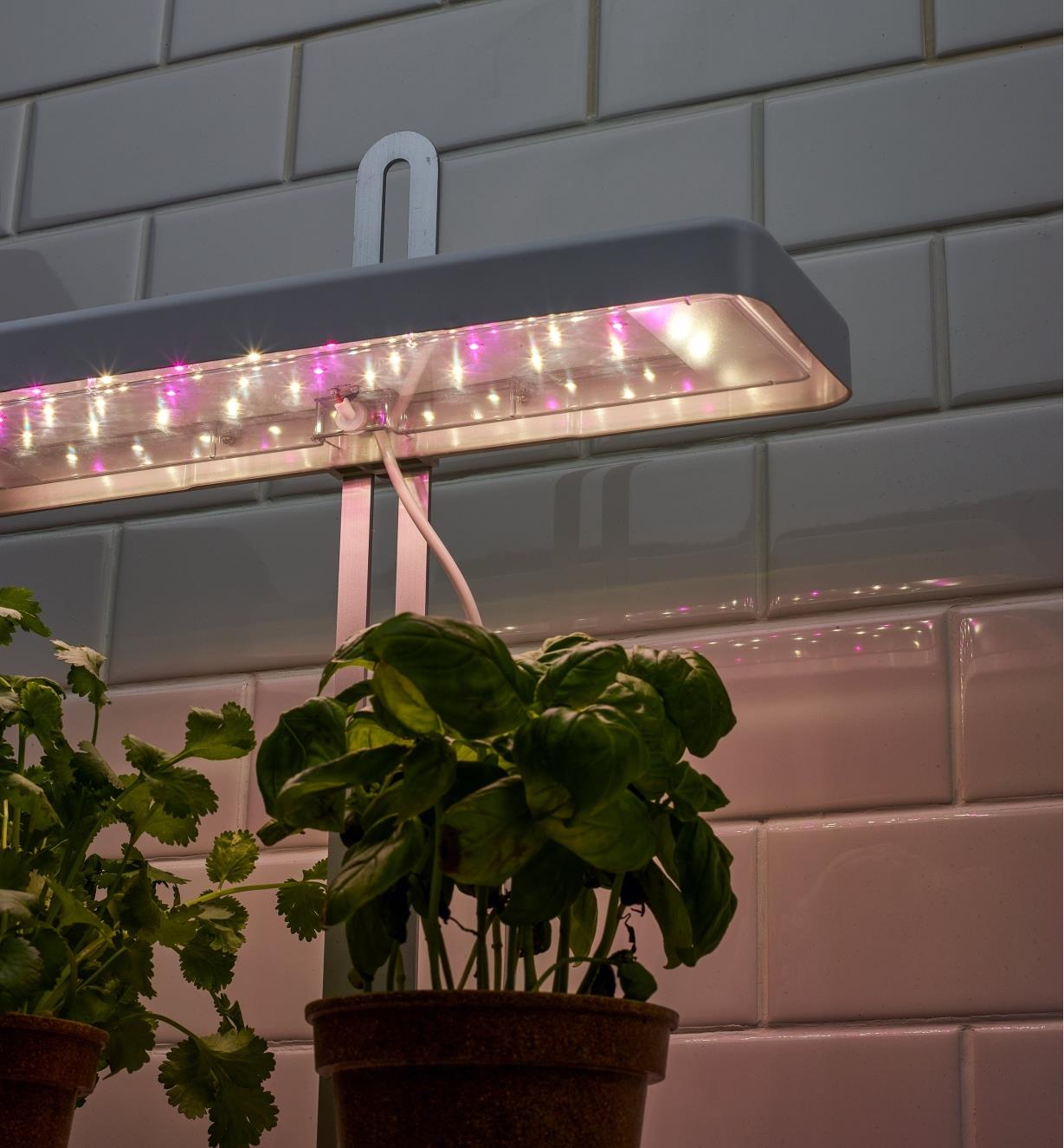 Close-up of the LEDs in the canopy of the tabletop LED grow light