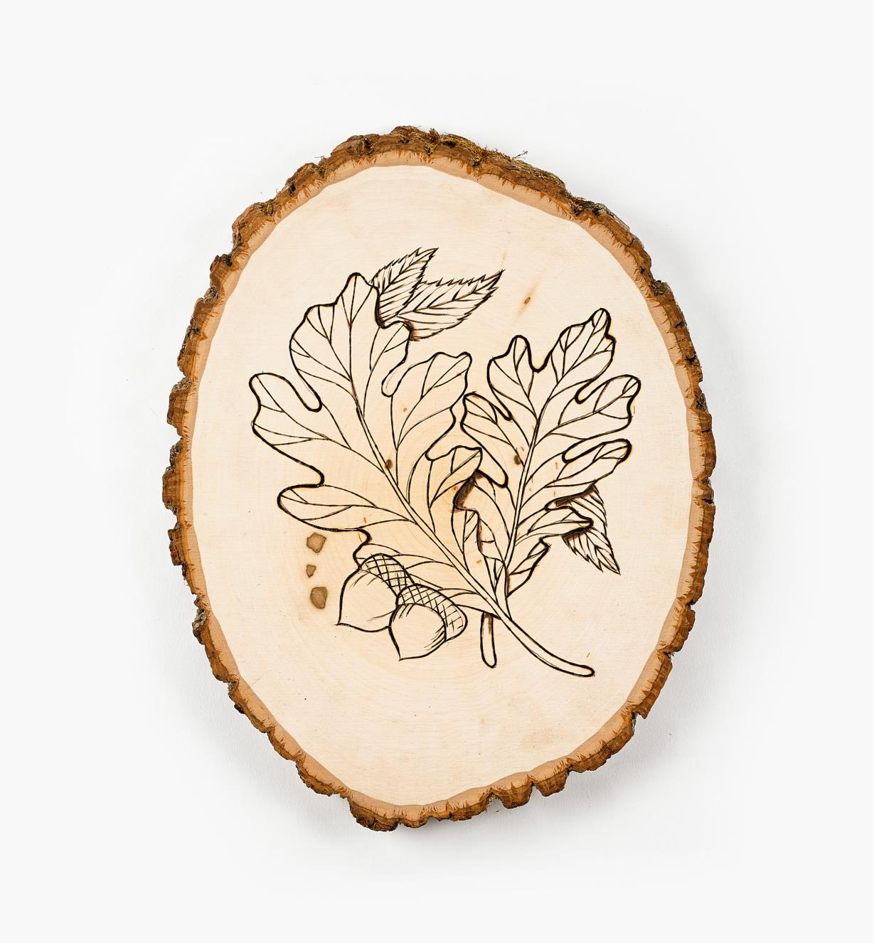 Sample design of oak leaves and acorns burned into basswood plaque