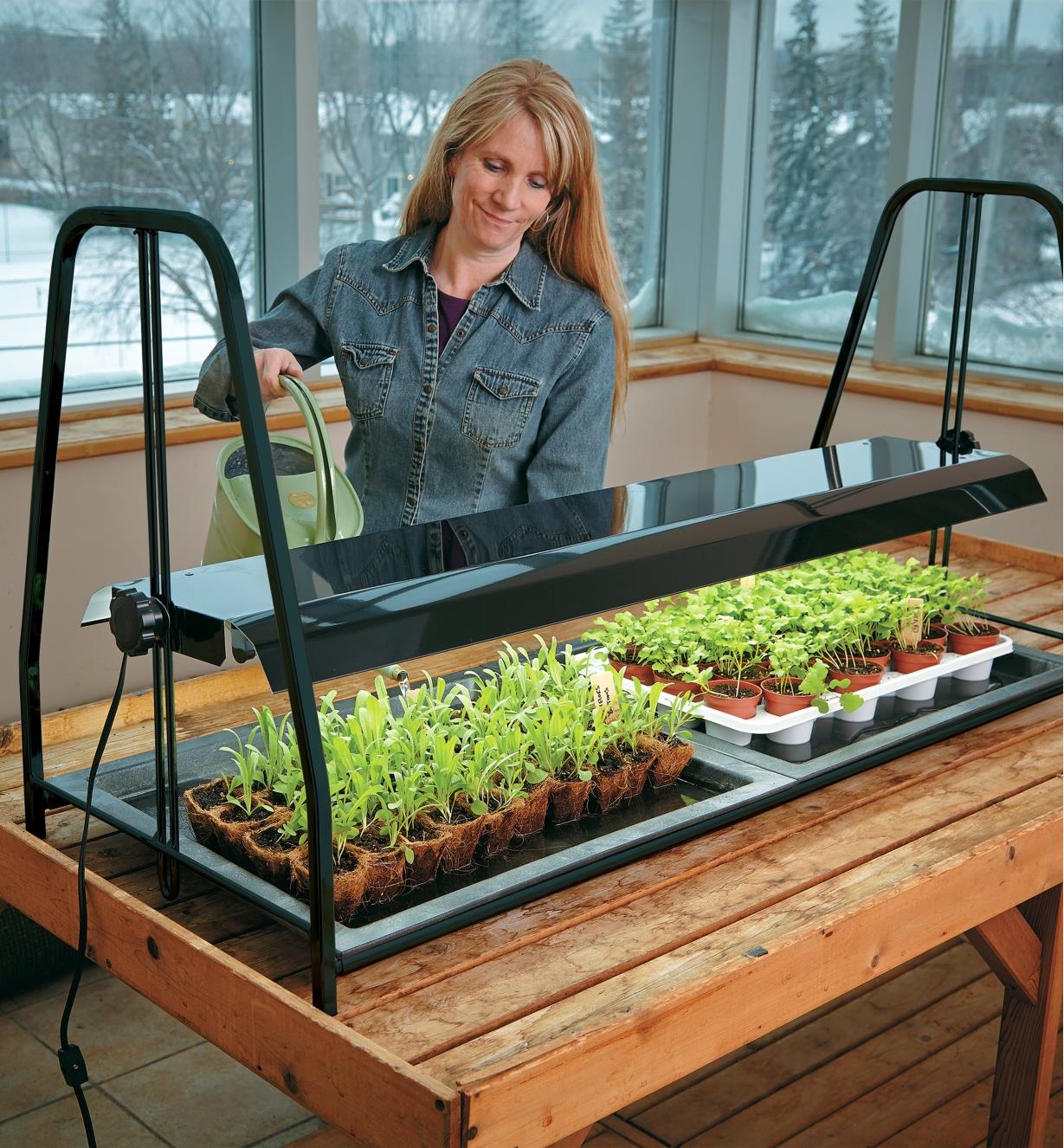 A woman waters seedlings growing under the Tabletop Floralight T5 LED Full-Spectrum Grow-Light Stand