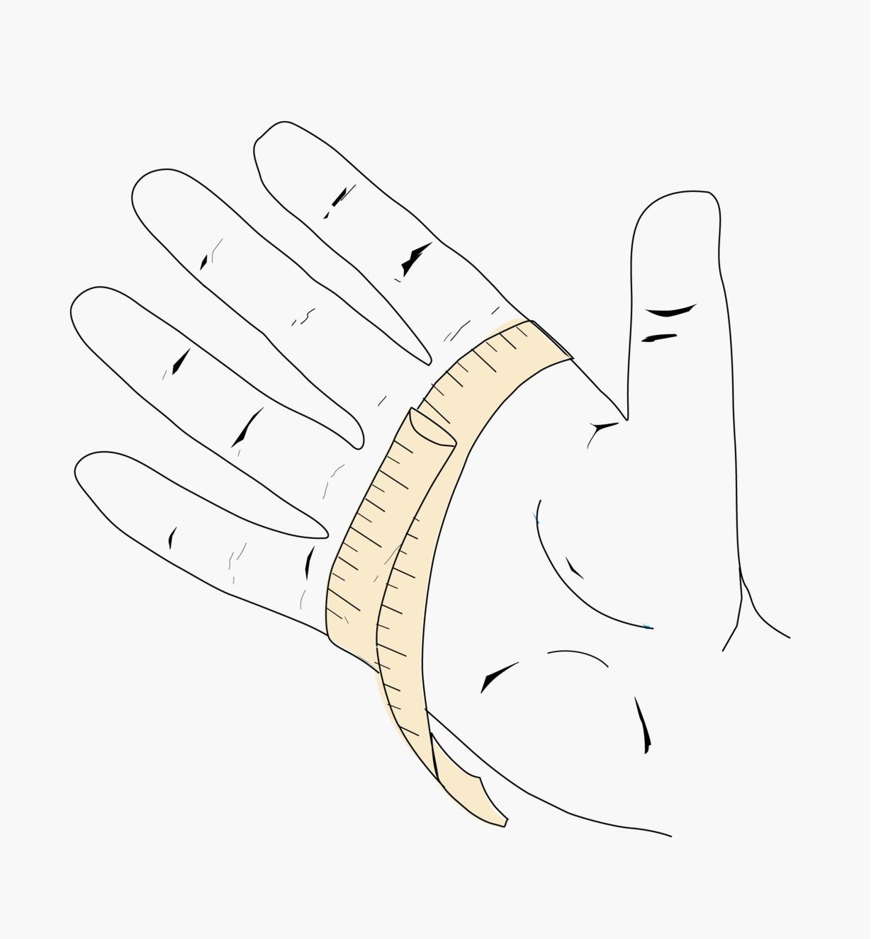 Illustration montrant un ruban à mesurer enroulé autour de la paume d'une main