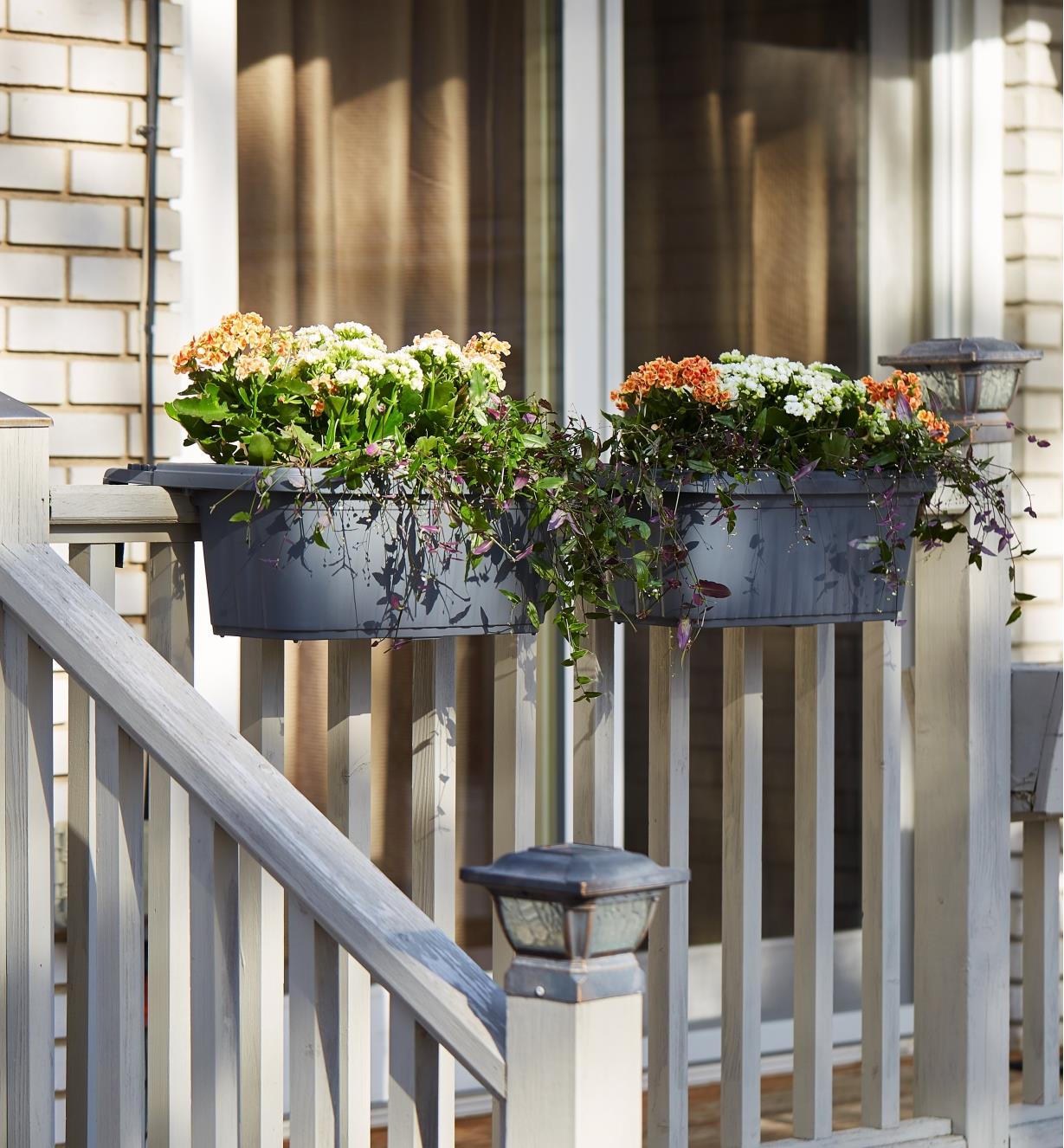 A pair of Fence and Railing Planters mounted on a porch railing
