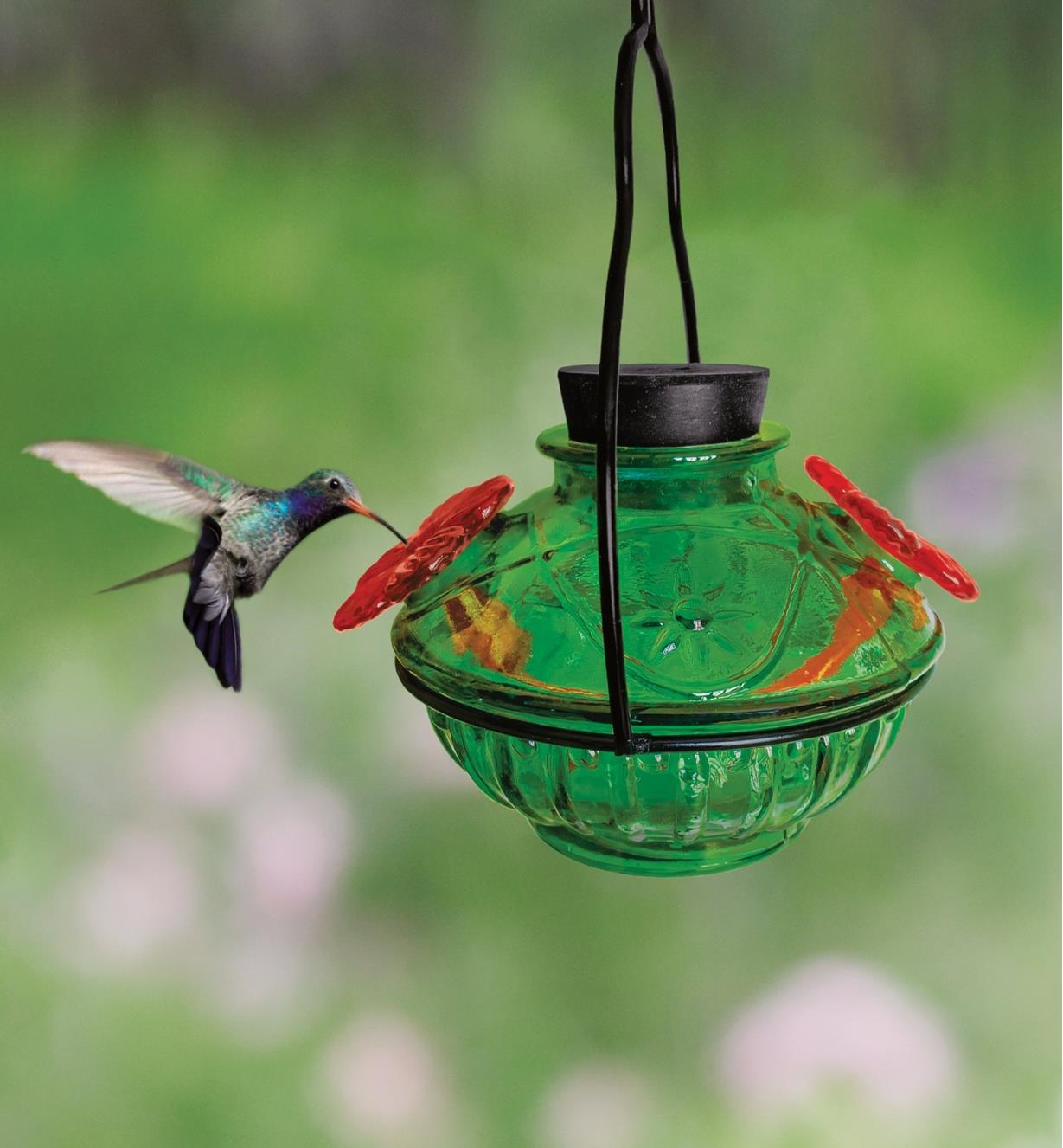 A hummingbird feeds from one of the two flower-shaped ports on the glass hummingbird feeder