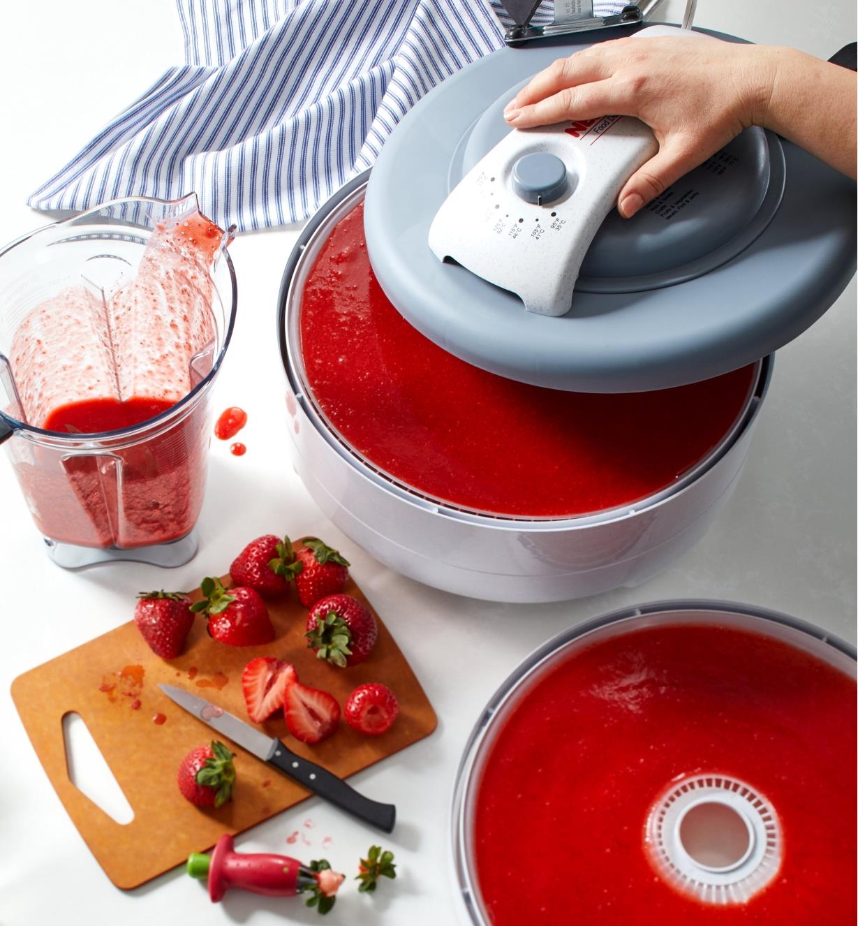Making fruit rolls with fresh strawberries using the smooth sheet in the food dehydrator