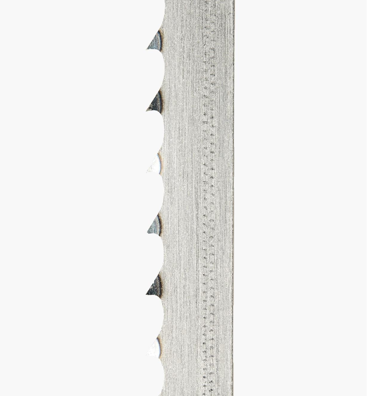 Close view of bandsaw blade