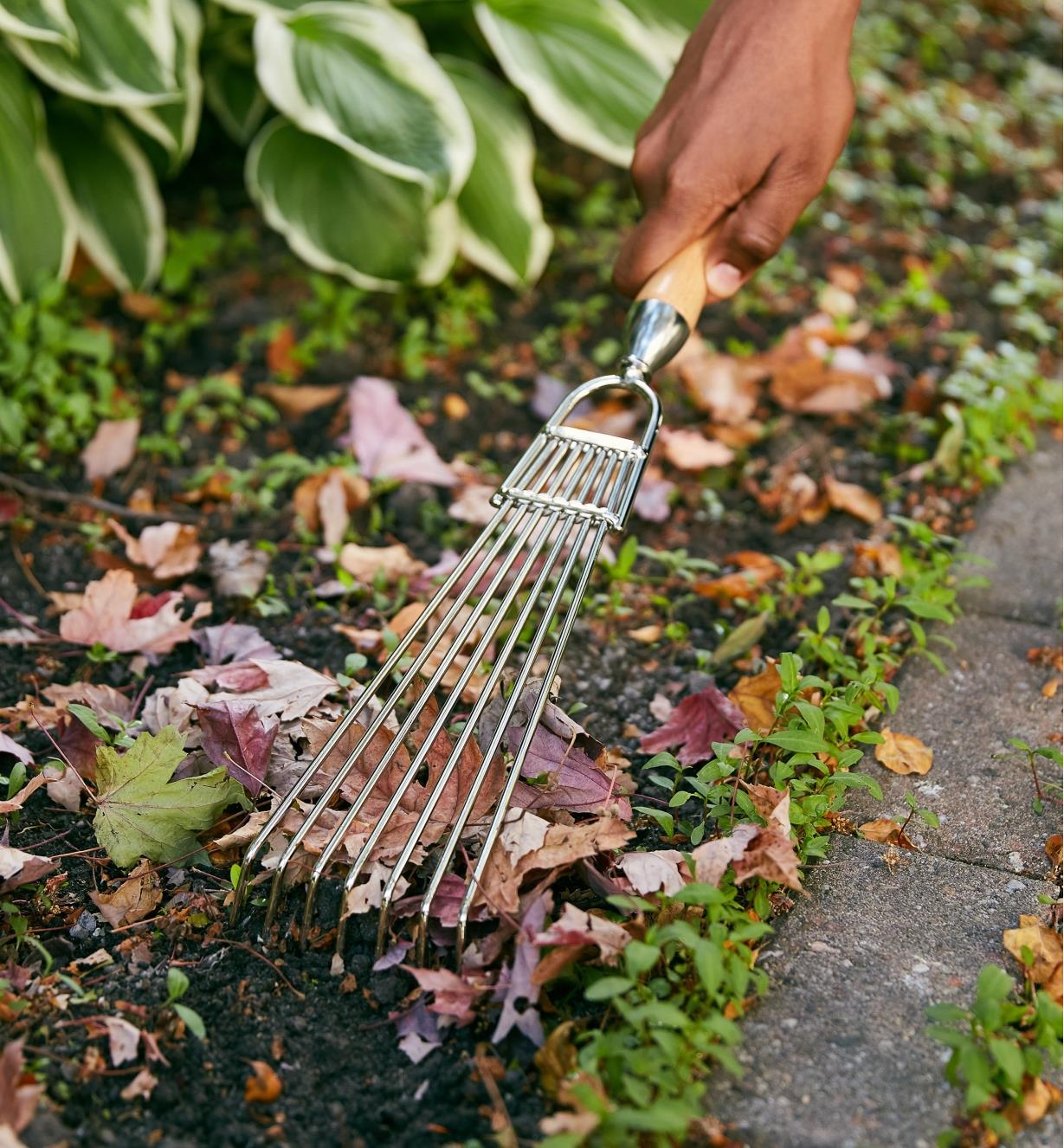 Clearing leaves from a garden bed using the Lee Valley hand rake