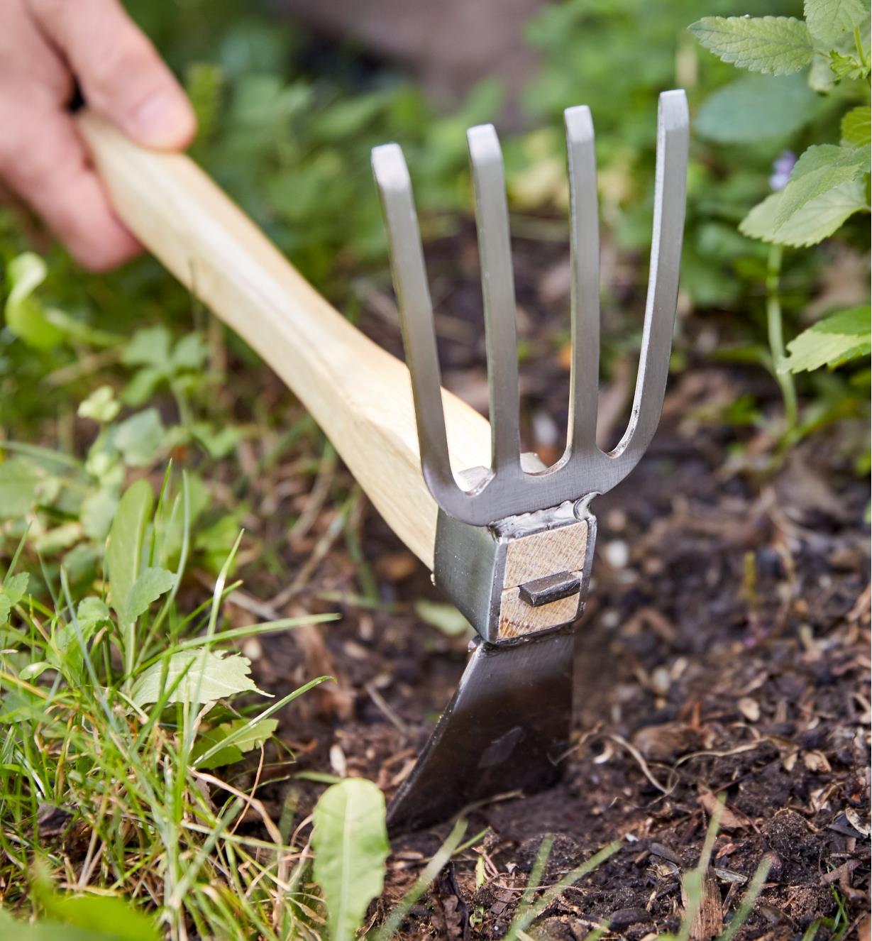 Breaking up soil with a cultivator mattock