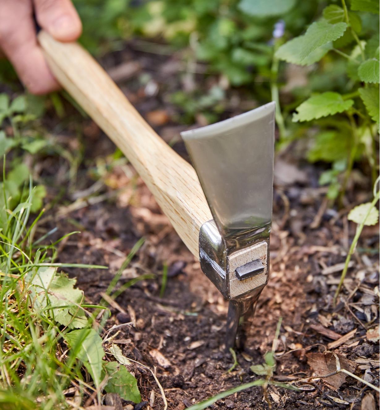 Breaking up soil with a pick mattock