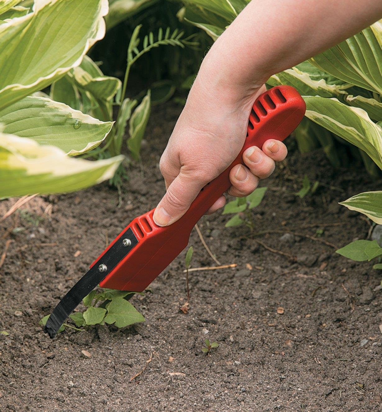 Using the Garden Bandit weeder to slice a weed out of a garden bed