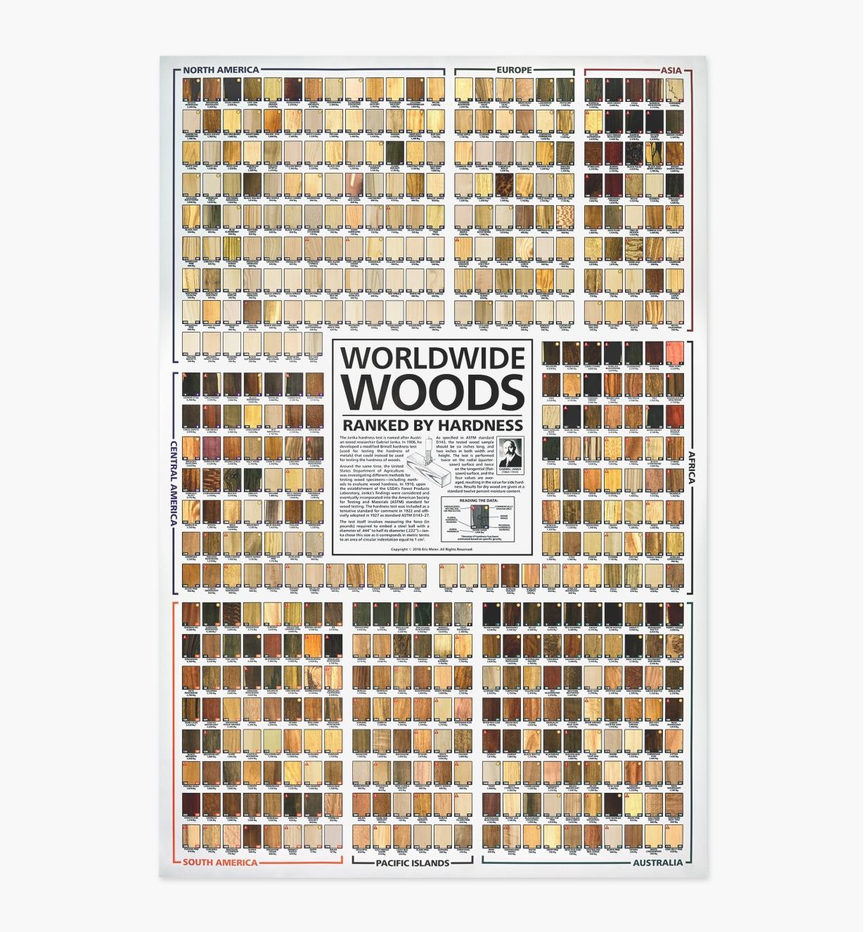 49L0735 - Set of 2 Wood Posters