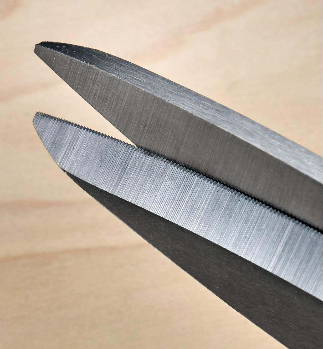 A close view of the micro-serrations along the edge of one of the shear blades