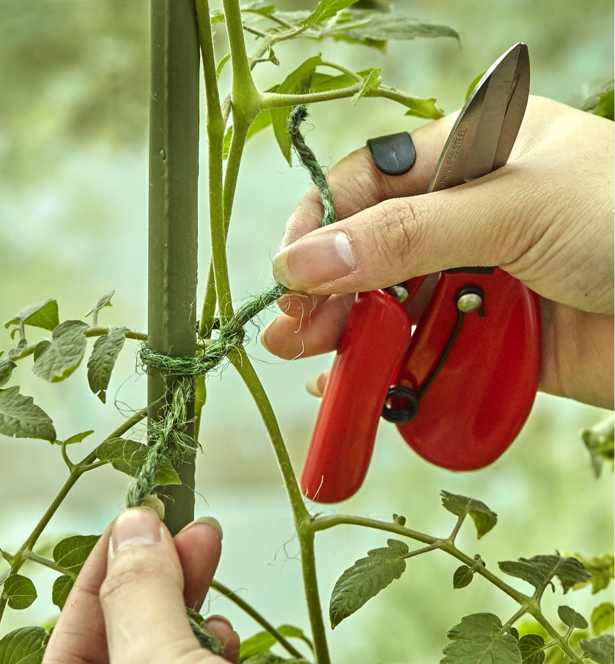 A gardener uses the finger ring to keep the ergonomic snips in hand while securing a plant tie