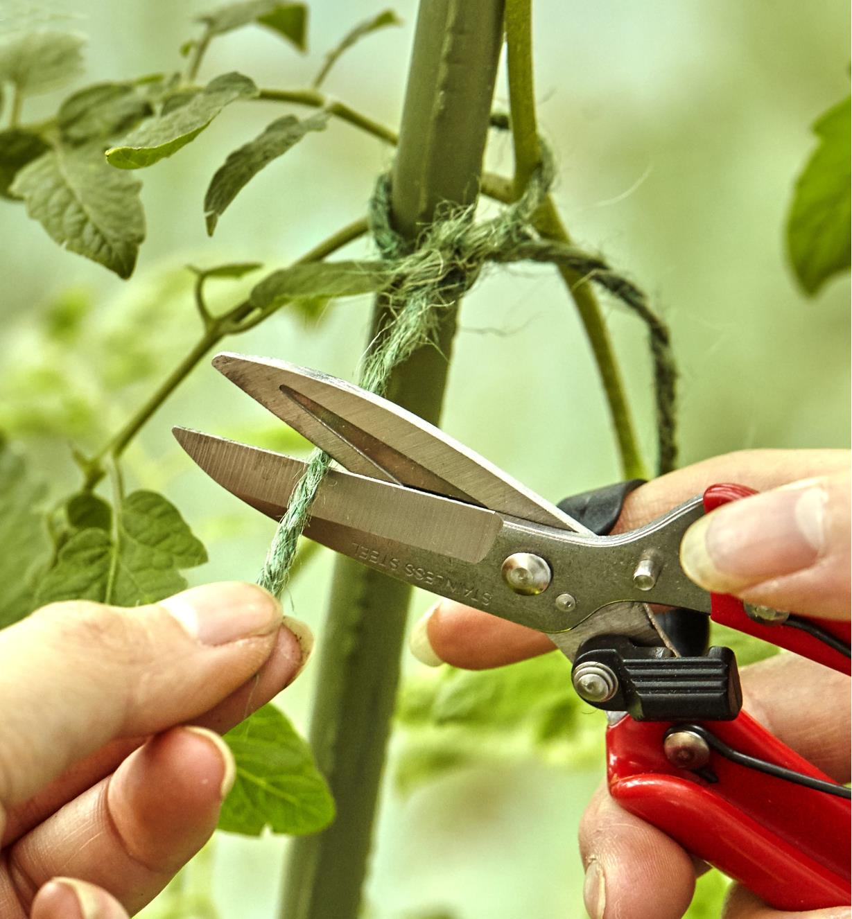 A gardener uses the ergonomic garden snips to trim a tag end of a piece of twine used as a plant tie