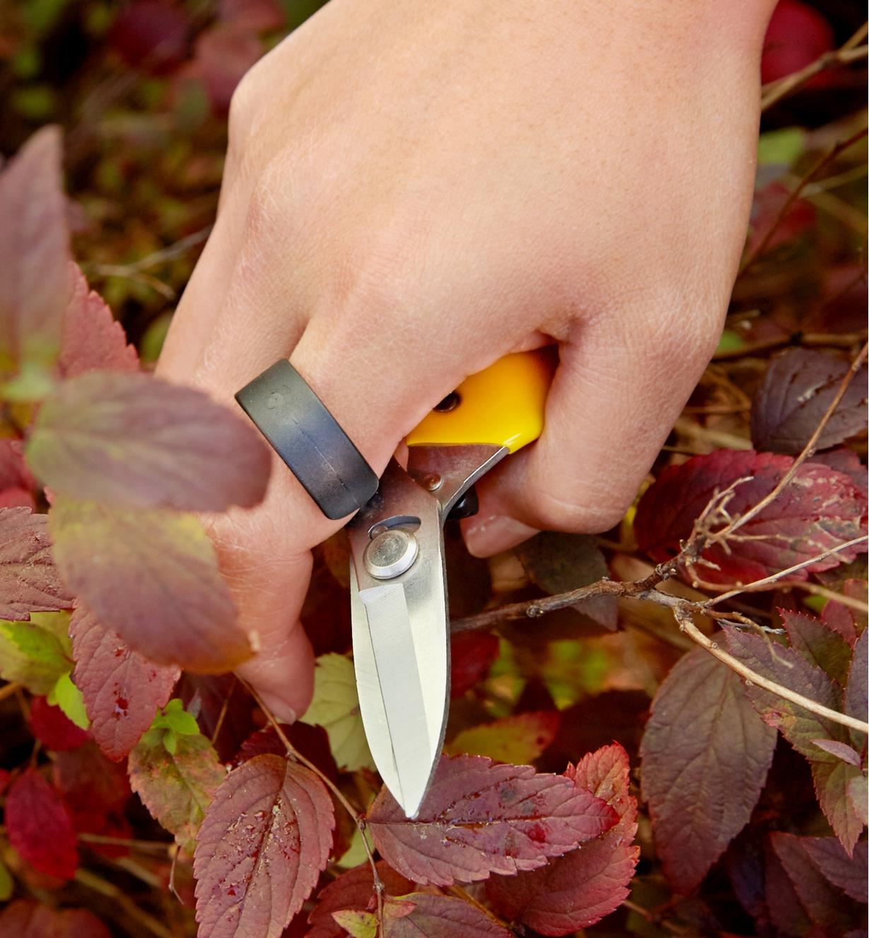 A gardener uses the finger ring on the ergonomic garden snips to keep the tool in hand between cuts