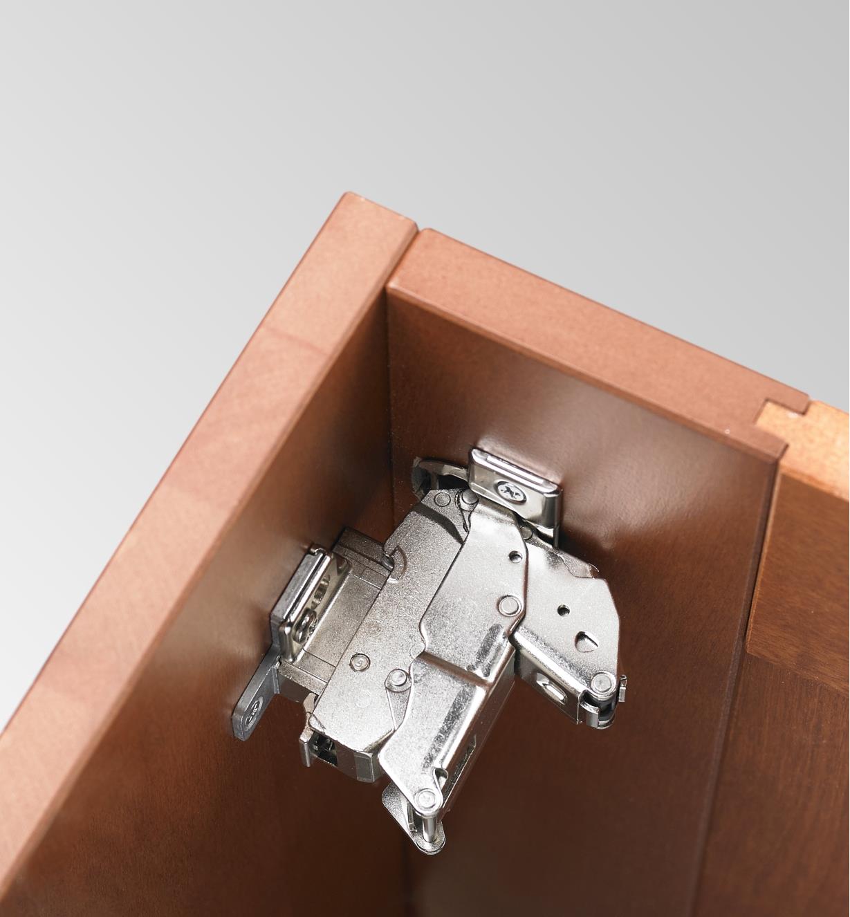 A standard 155° soft-close clip-top inset hinge is hidden by a closed cabinet door