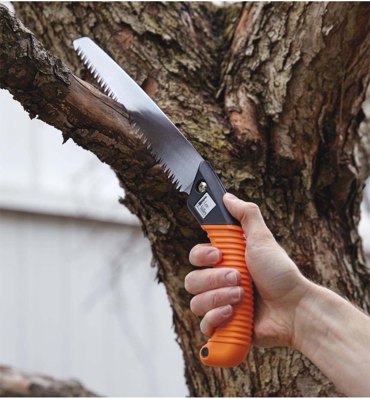 Using the Pruning Saw to cut a tree branch