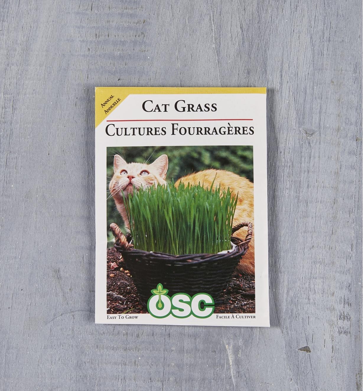 SD162 - Catgrass