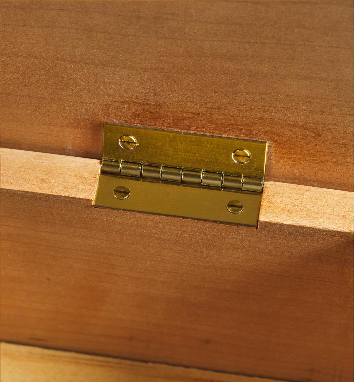 A brass hinge fastened with brass screws