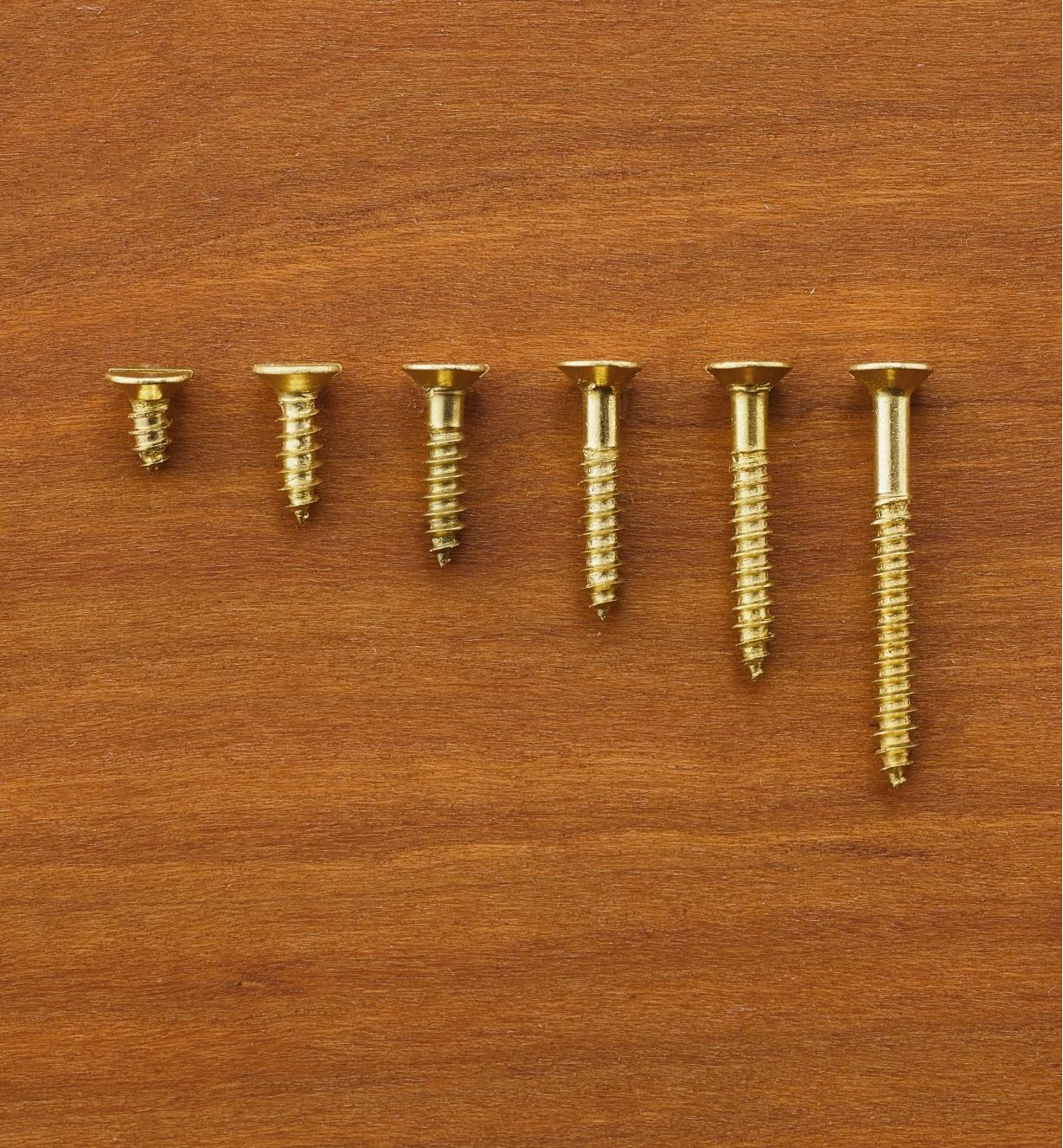 #4 Flat-Head Brass Screws