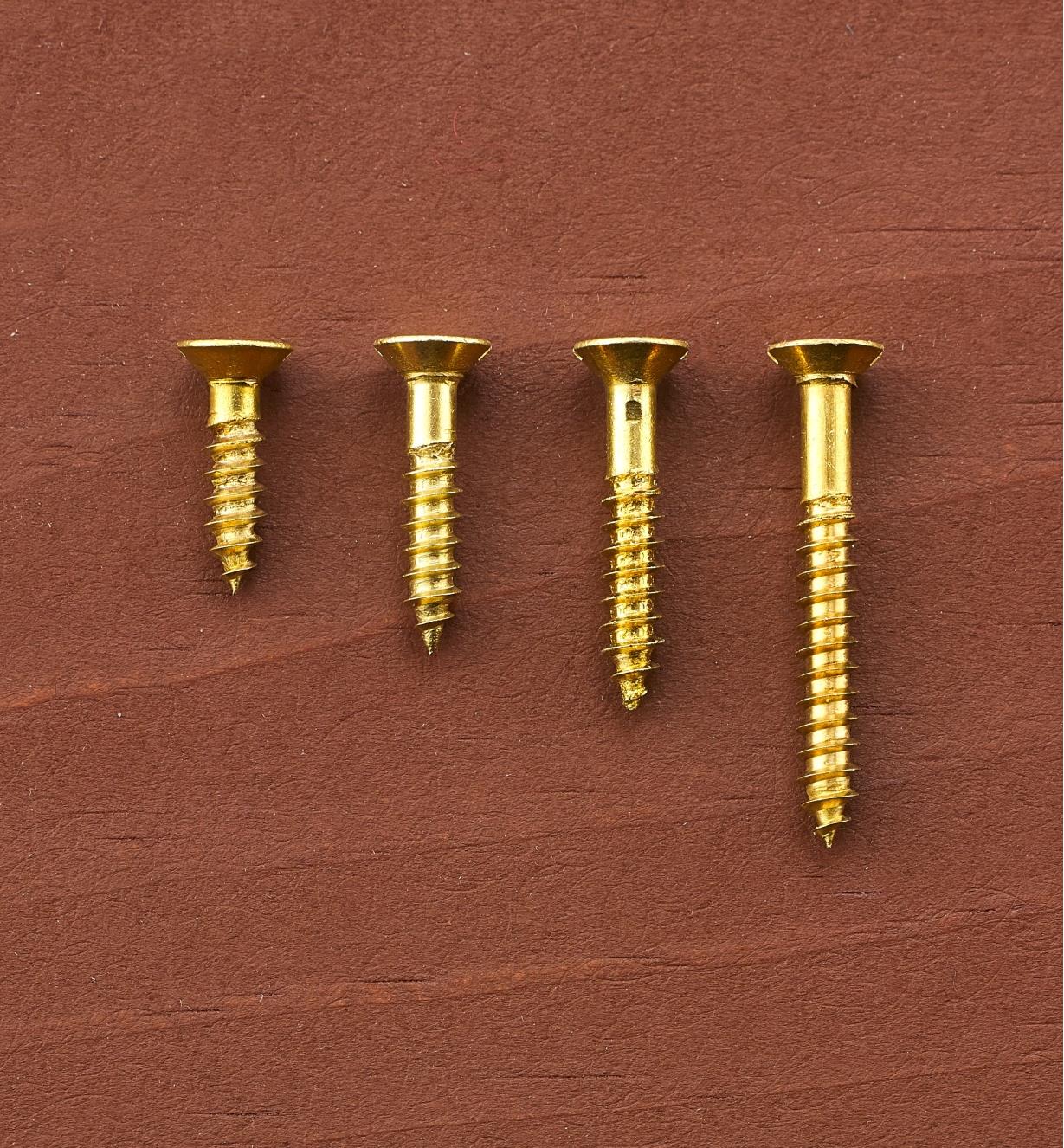 #5 Flat-Head Brass Screws