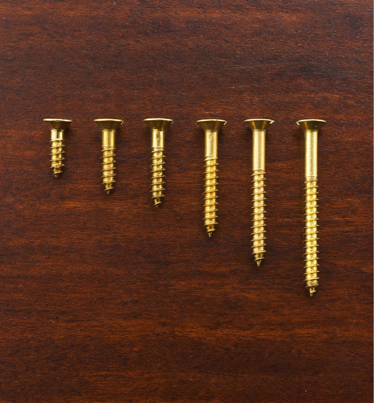 #6 Flat-Head Brass Screws