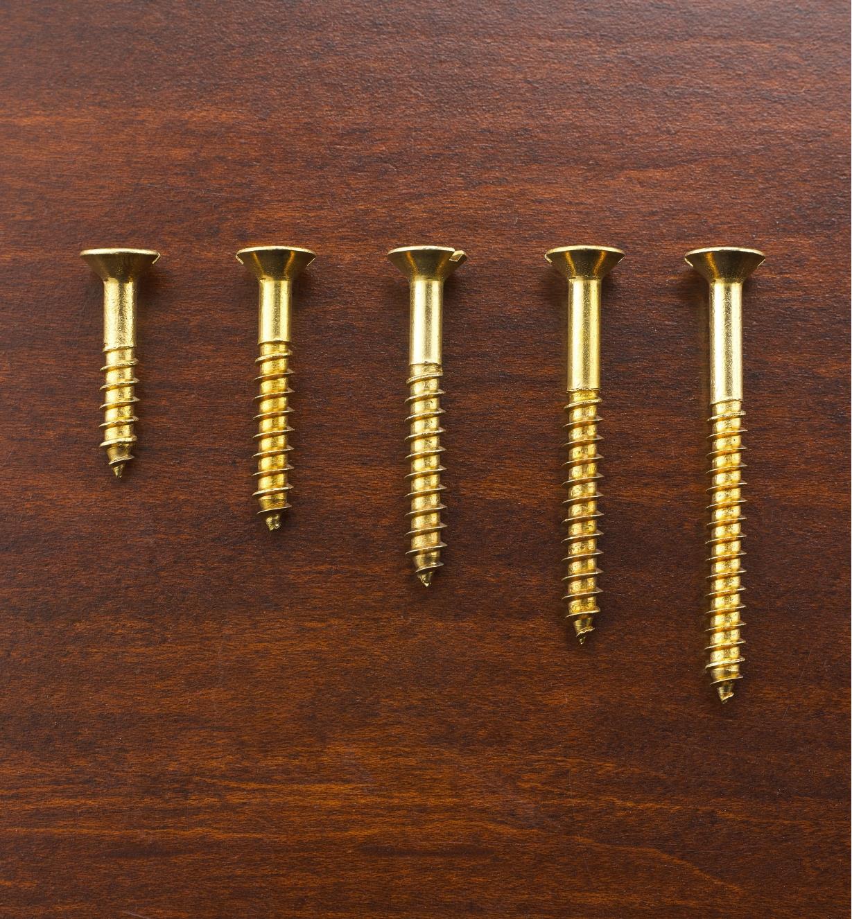 #10 Flat-Head Brass Screws