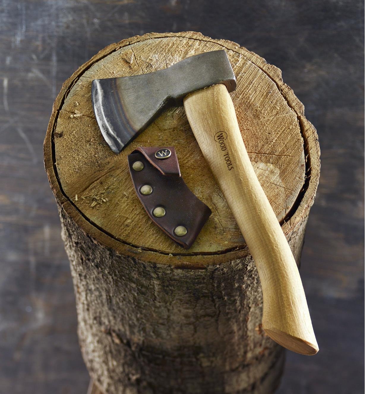 A carving axe and sheath rest on a tree stump