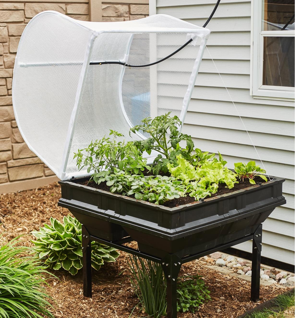 Bac de culture Vegepod avec support au couvercle ouvert rempli de plant de légumes dans un jardin