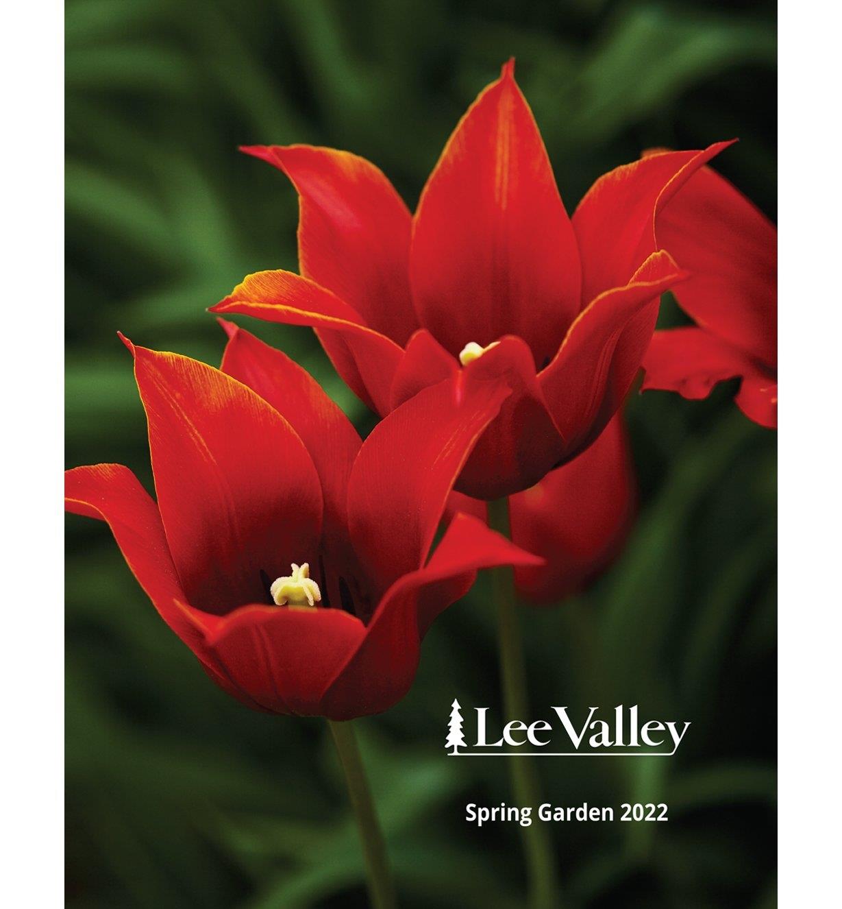 Cover of Spring Garden 2022