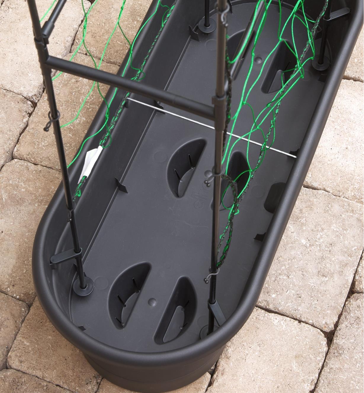 Interior view of the Elho self-watering planter with trellis