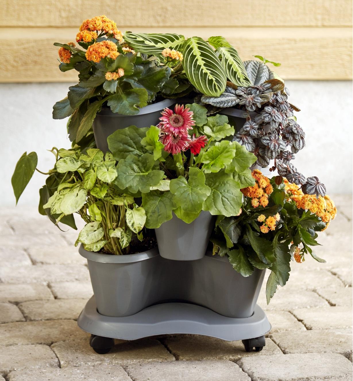 The triple planter filled with plants and flowers, sitting on the removable saucer