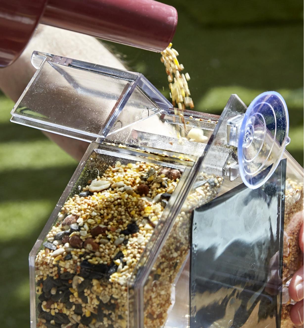 Refilling a window bird feeder by pouring seed mix into a port at the top of the feeder