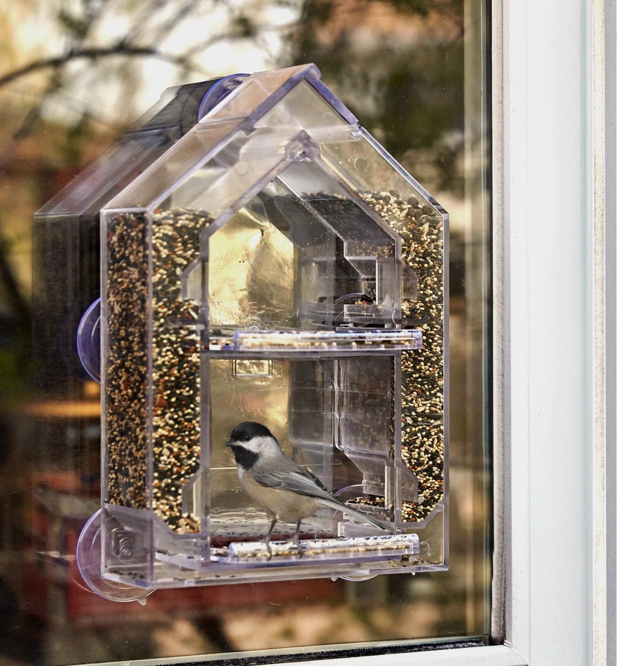 A chickadee feeding from a window bird feeder mounted on a window pane, seen from the outside