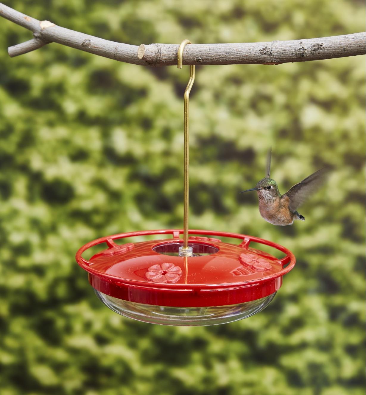 A hummingbird hovers over a hanging hummingbird feeder