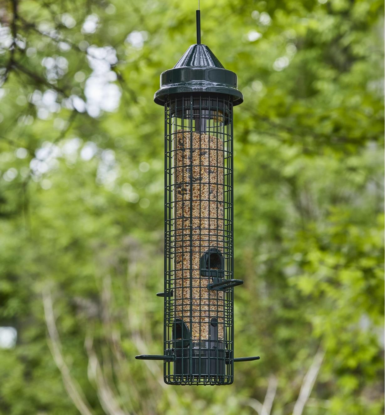 A Squirrel Buster bird feeder filled with seed hangs from a tree