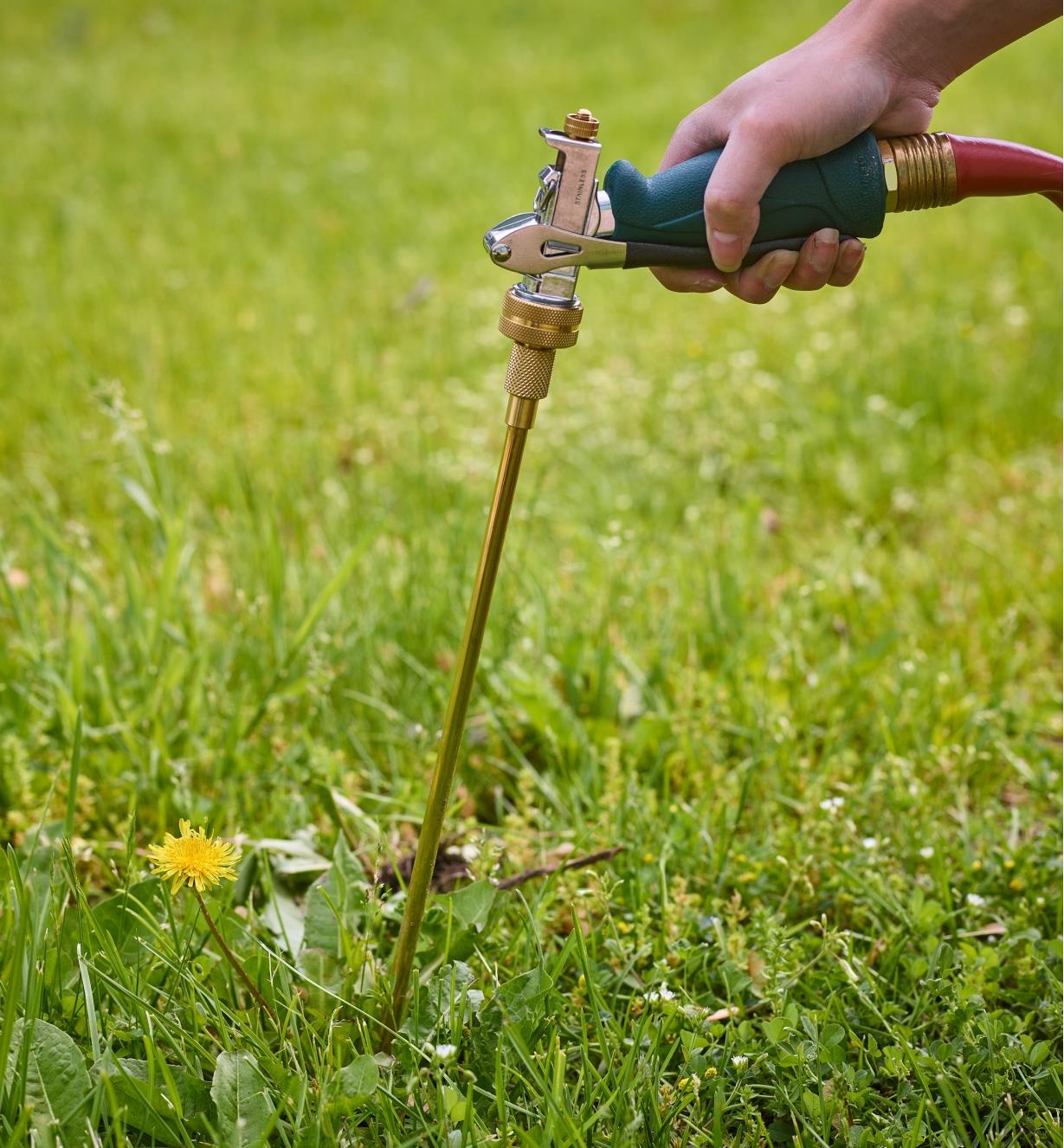 Using a water-powered weeder to remove a dandelion from a lawn