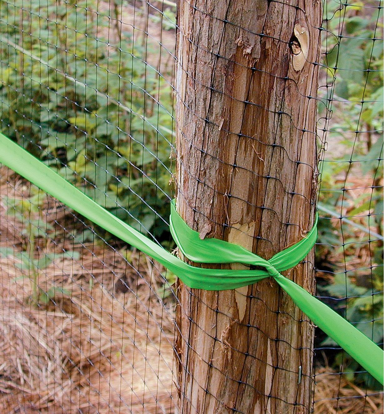 A green ribbon stretches along a fence and is tied to a fence post