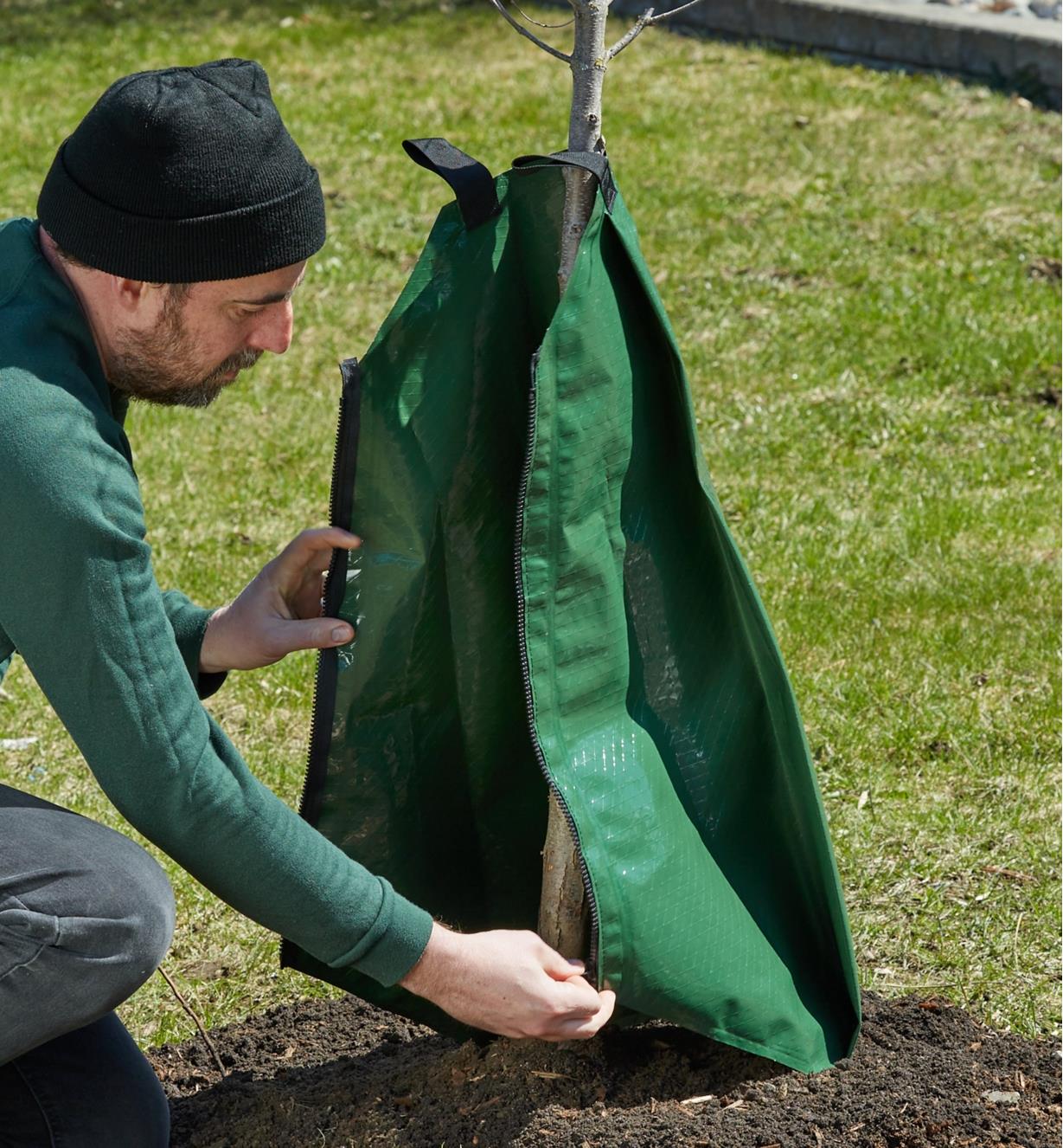 Wrapping a 20 gallon PVC tree watering bag around a tree base