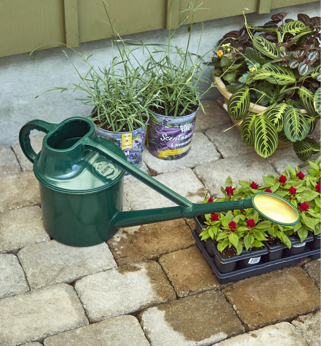 A Haws plastic watering can placed next to bedding plants